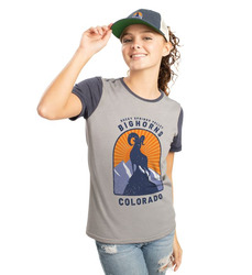 Ladies Gameday Vintage Ringer Tee