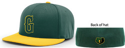 Player Hat 2025 PTS20 PULSE R-FLEX