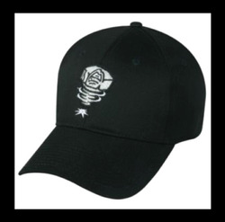 Lansing Lugnuts