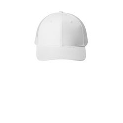 Snapback or Flexfit Cap
