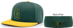 PLAYER HAT 2025PTS20 PULSE R-FLEX